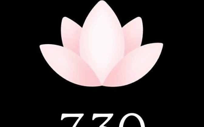 图