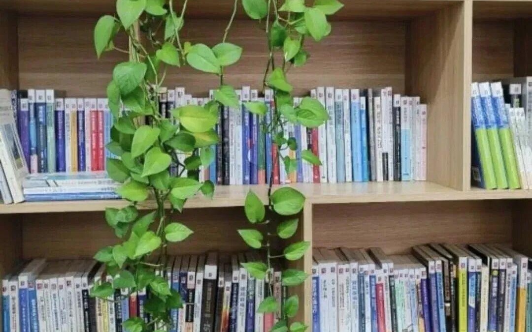 图