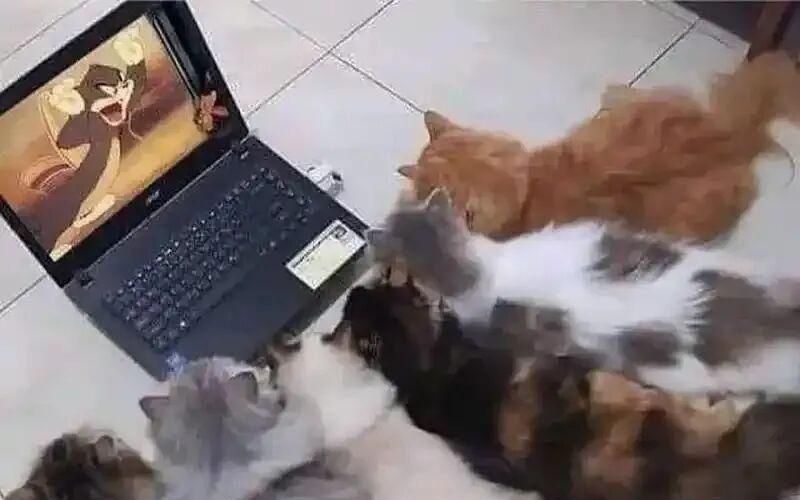 图