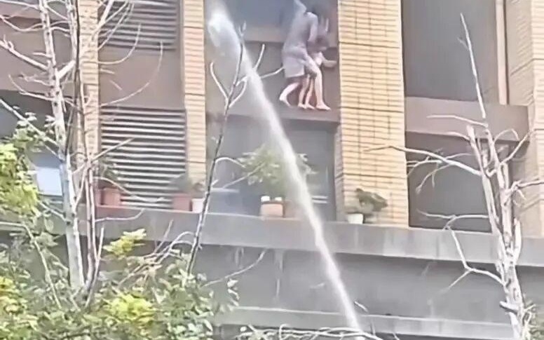 图