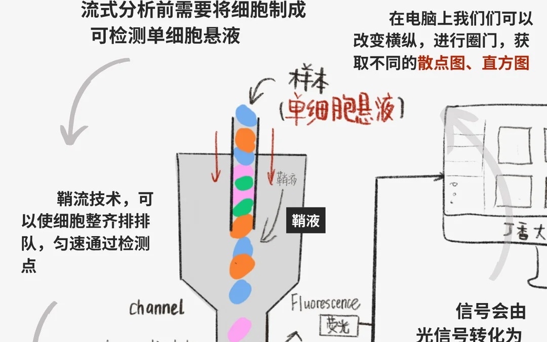 图