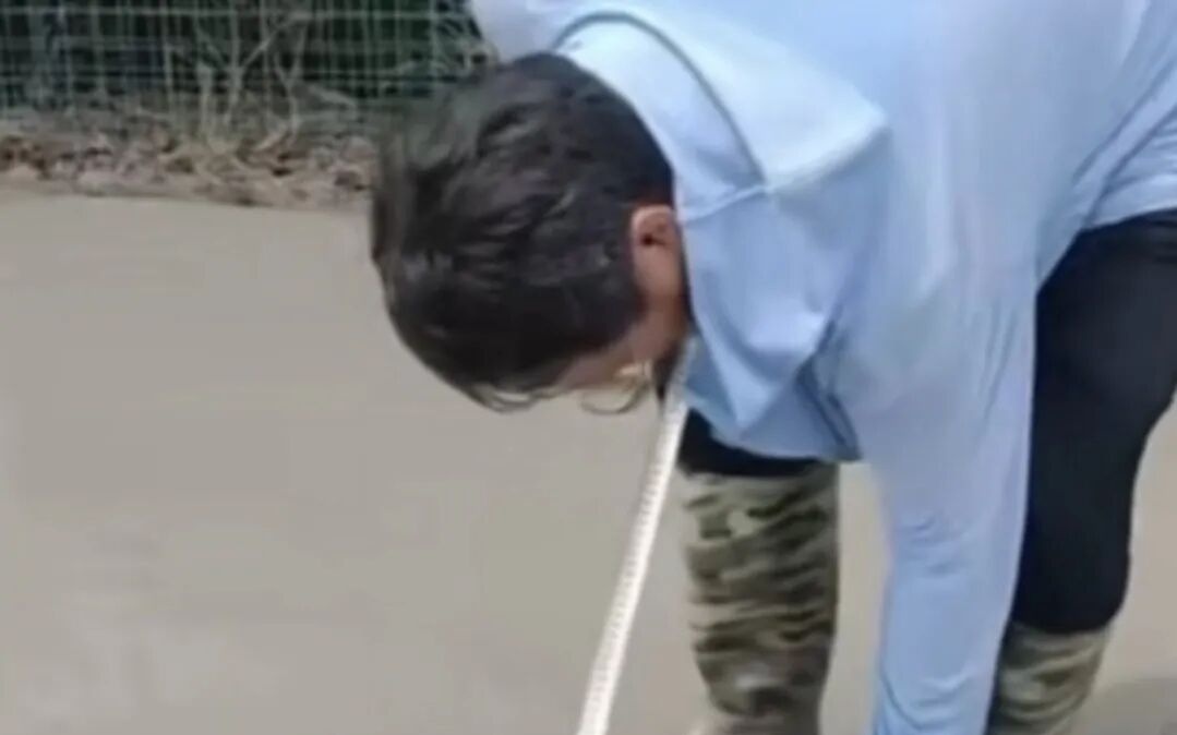 图