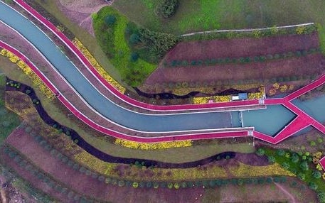 图