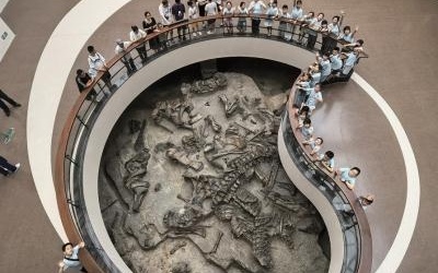 图