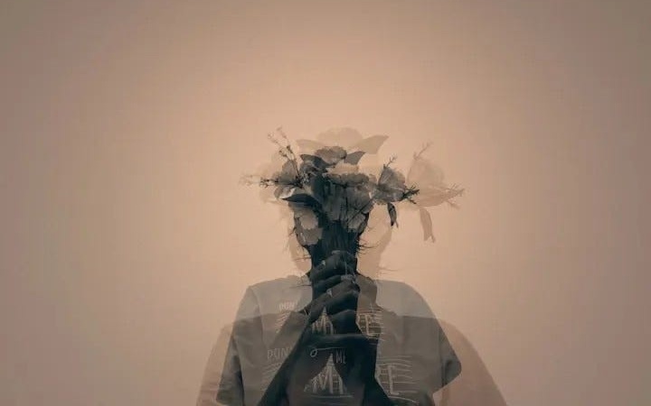 图