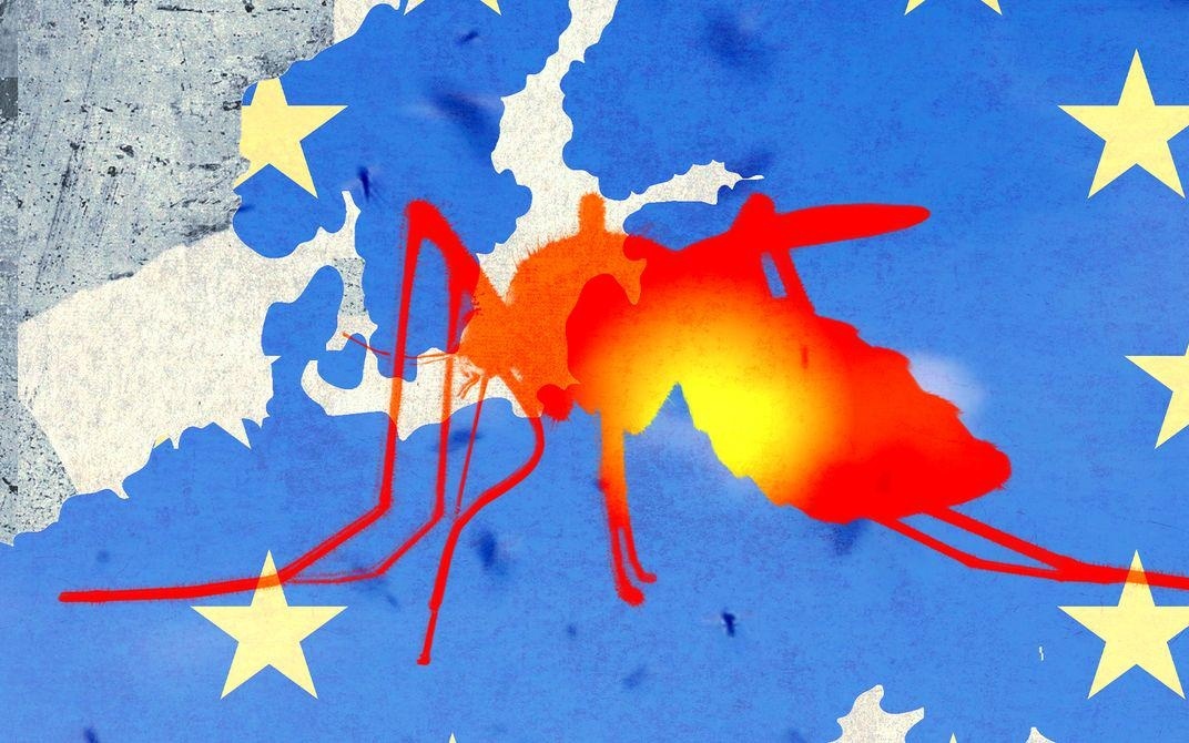 图