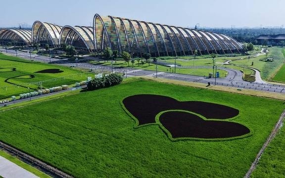图