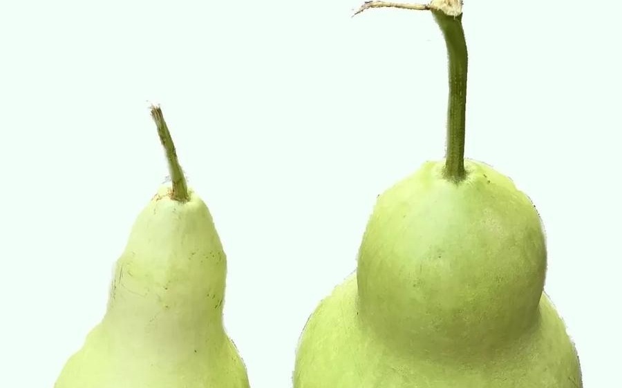 图