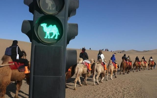图