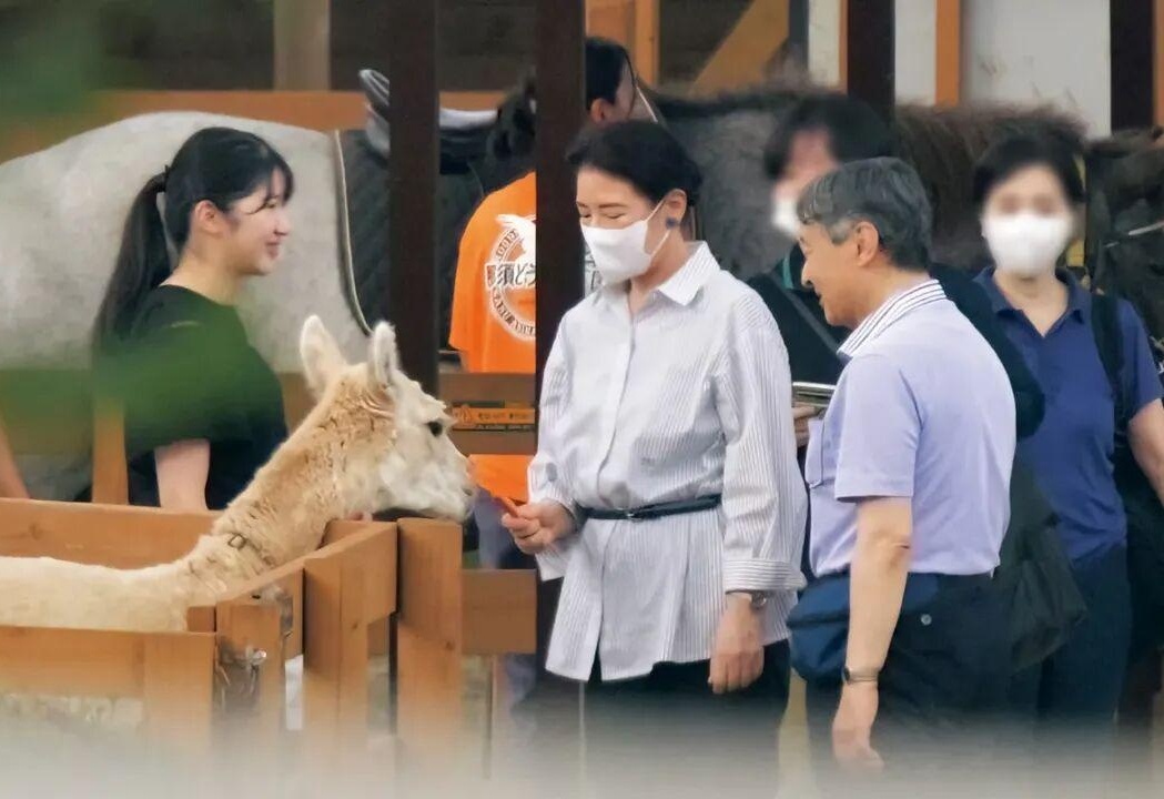 图
