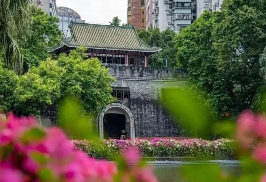 图