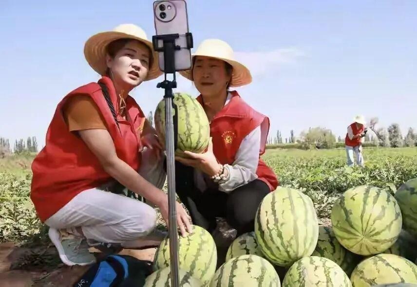 图