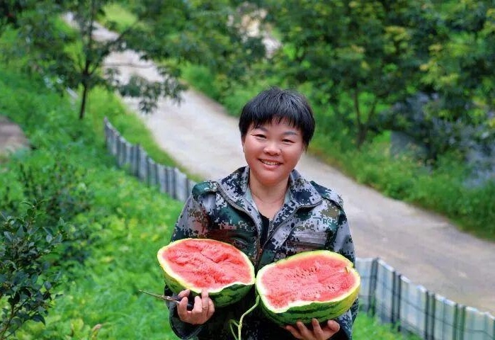 图