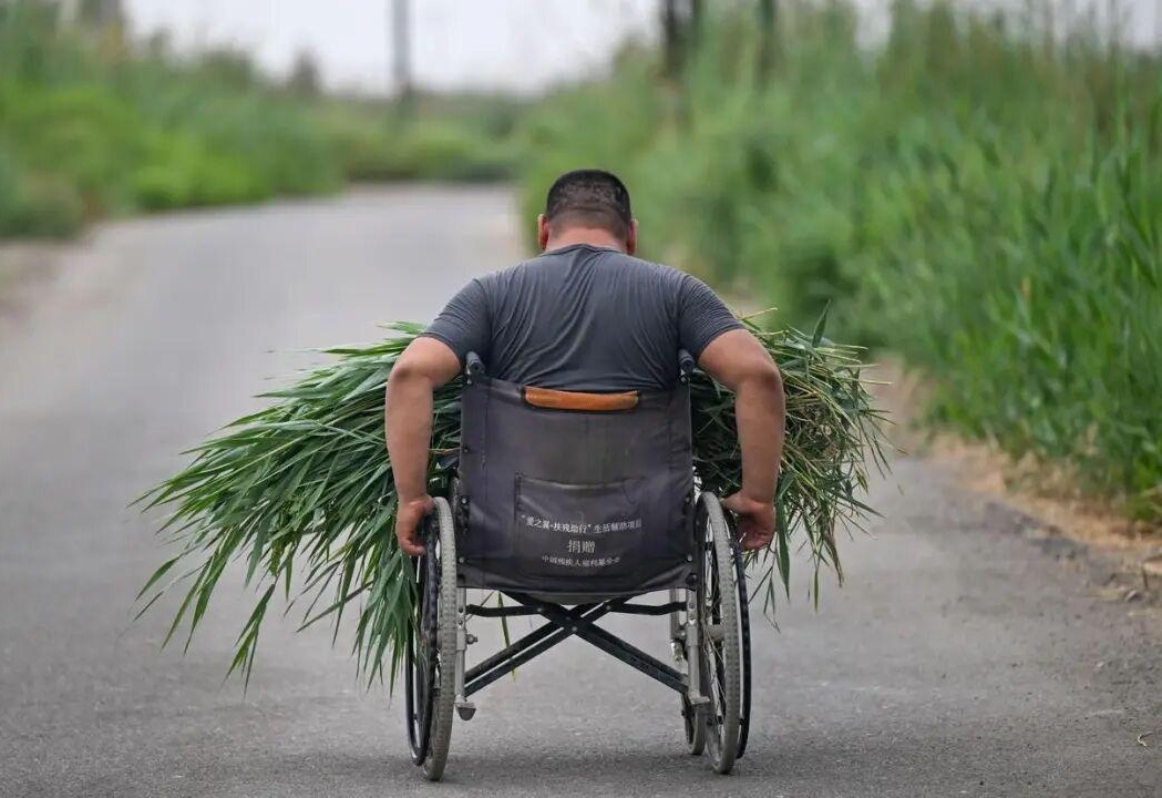 图