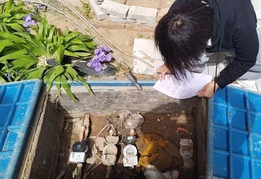 图
