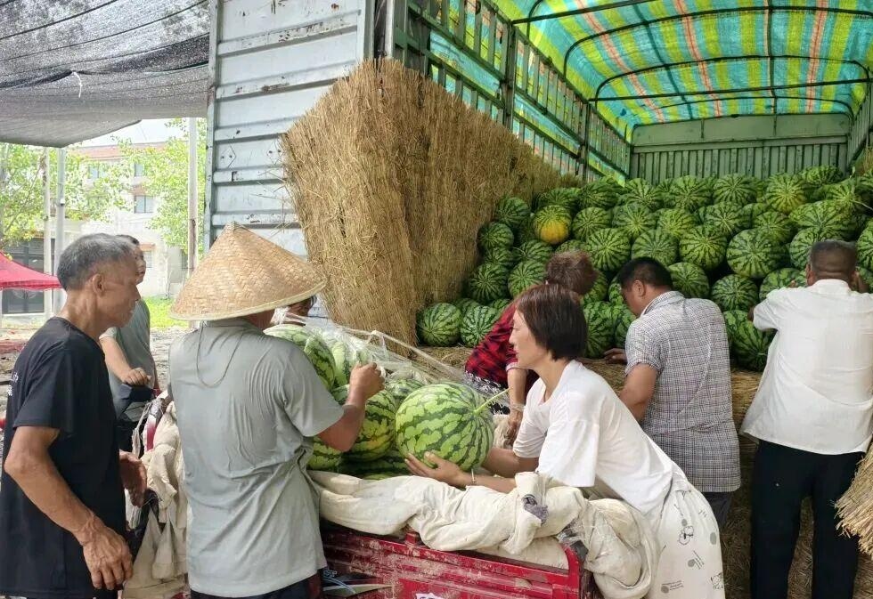 图