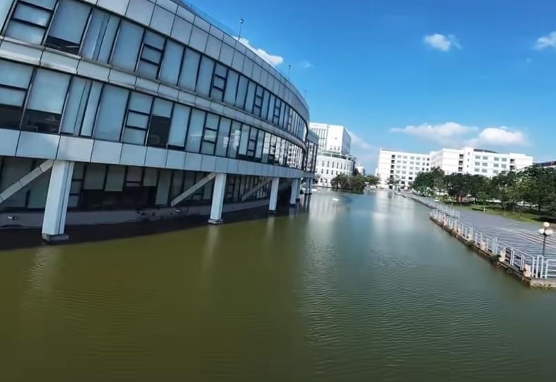 图