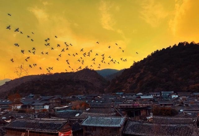 图