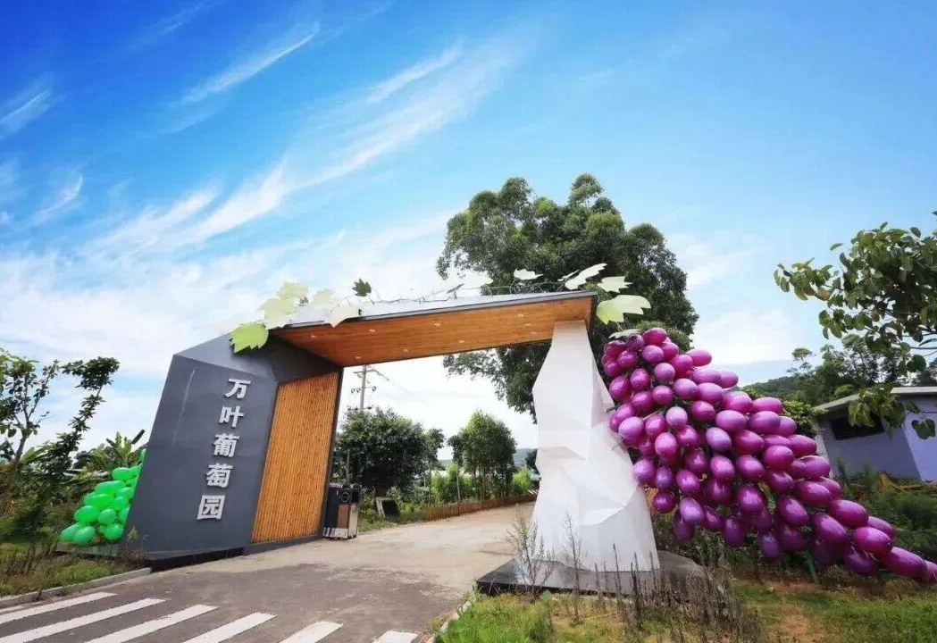 图