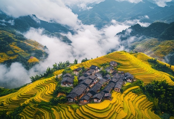 图