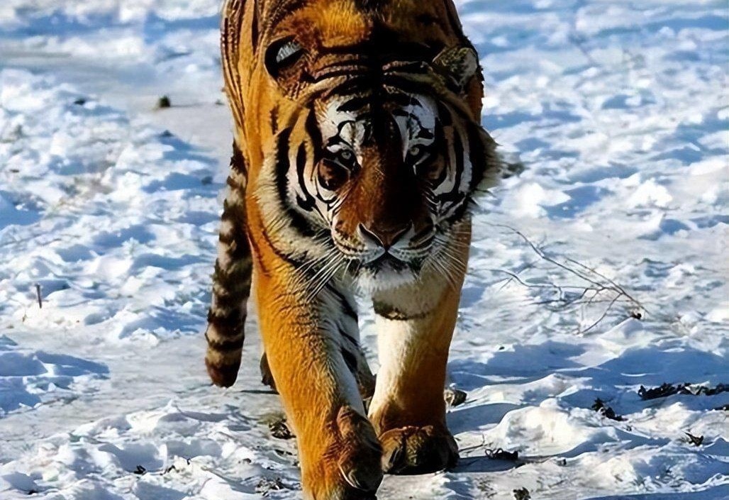 图