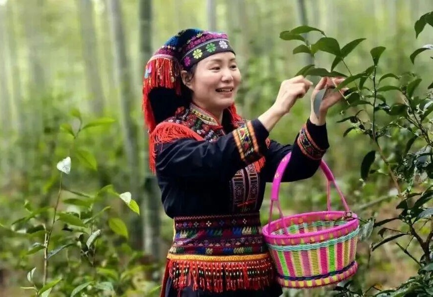 图