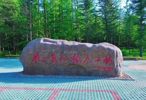 图