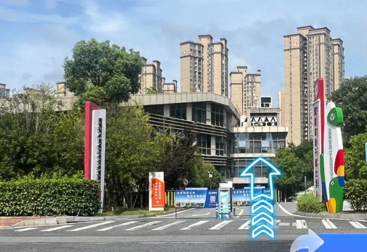 图