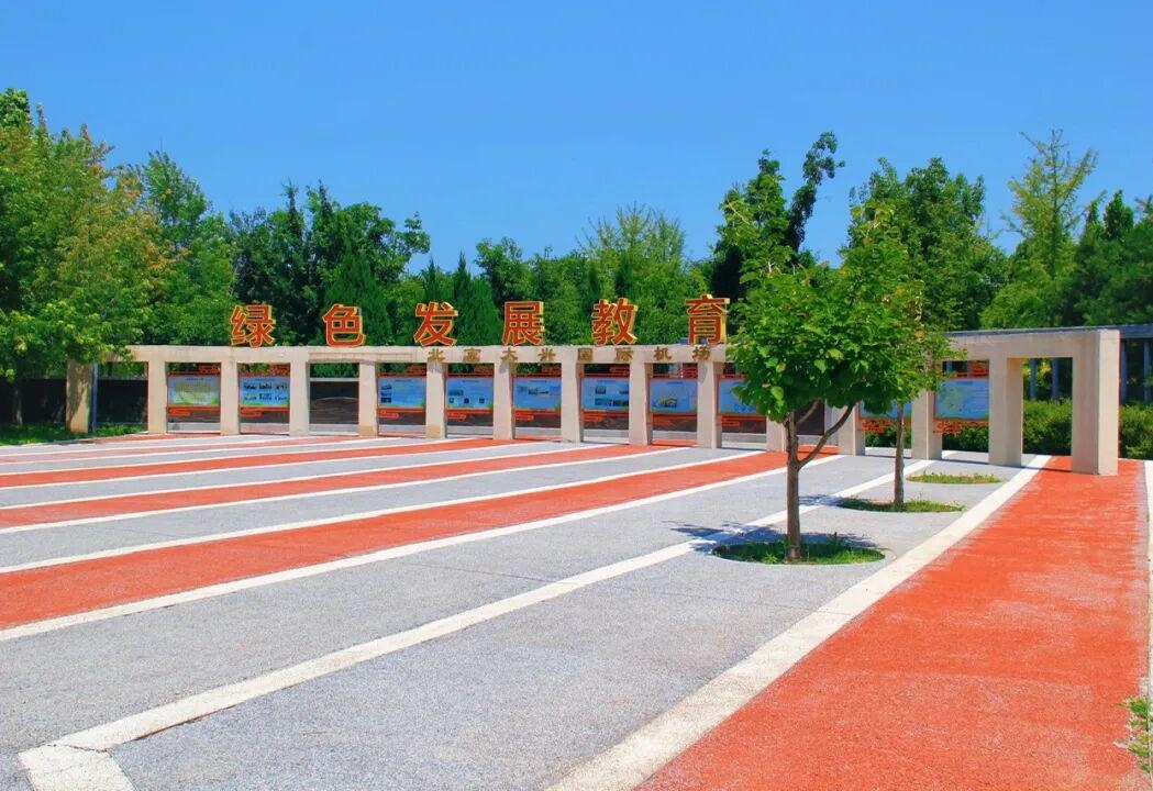 图