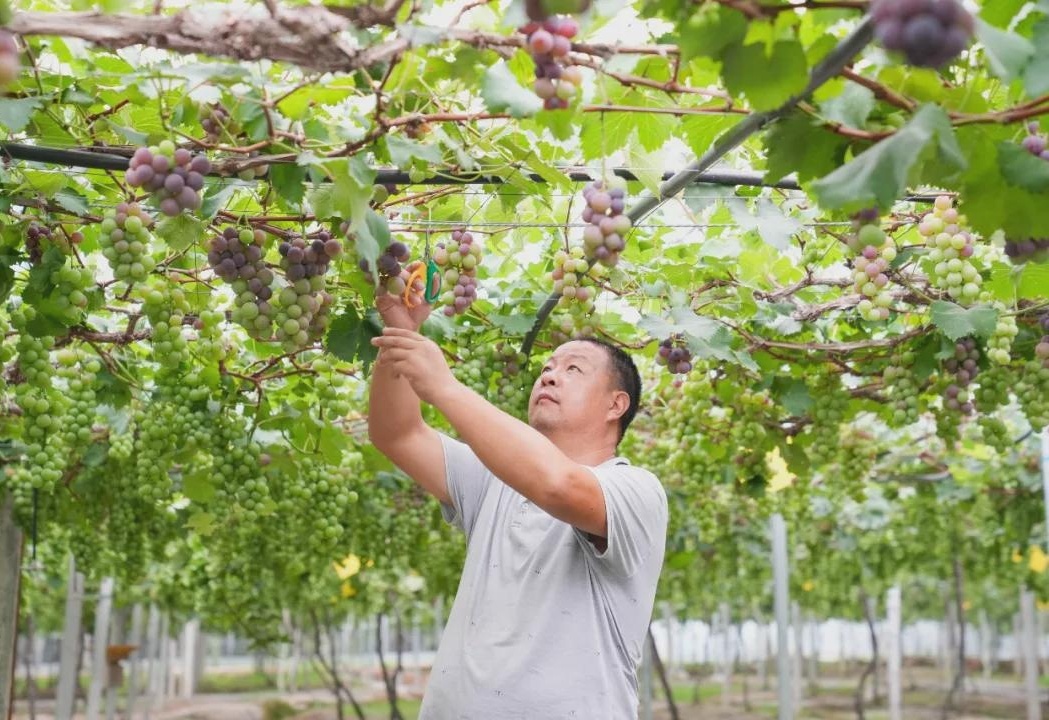 图