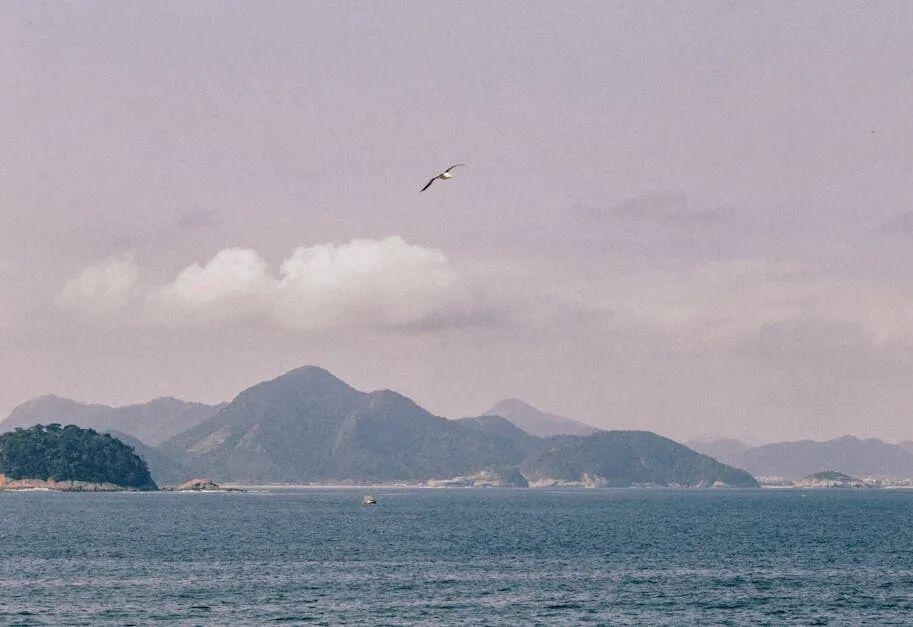 图