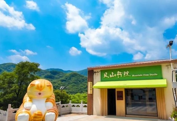 图