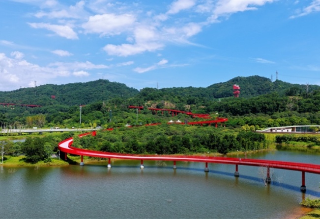 图