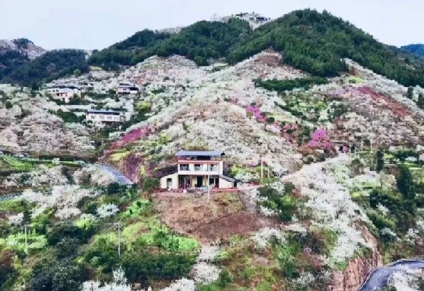图
