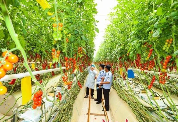 图