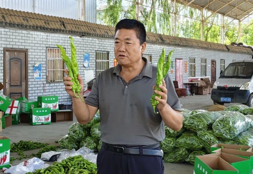 图