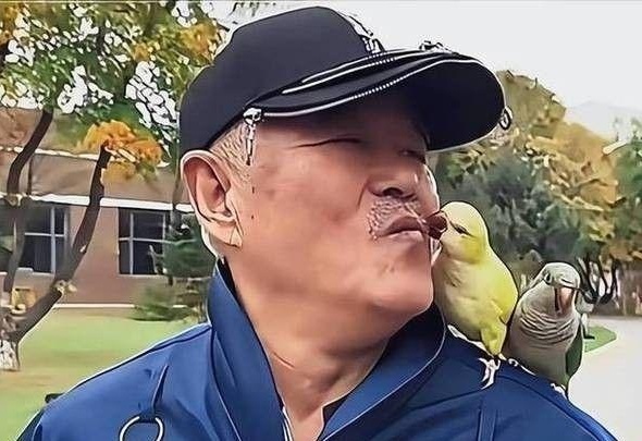 图