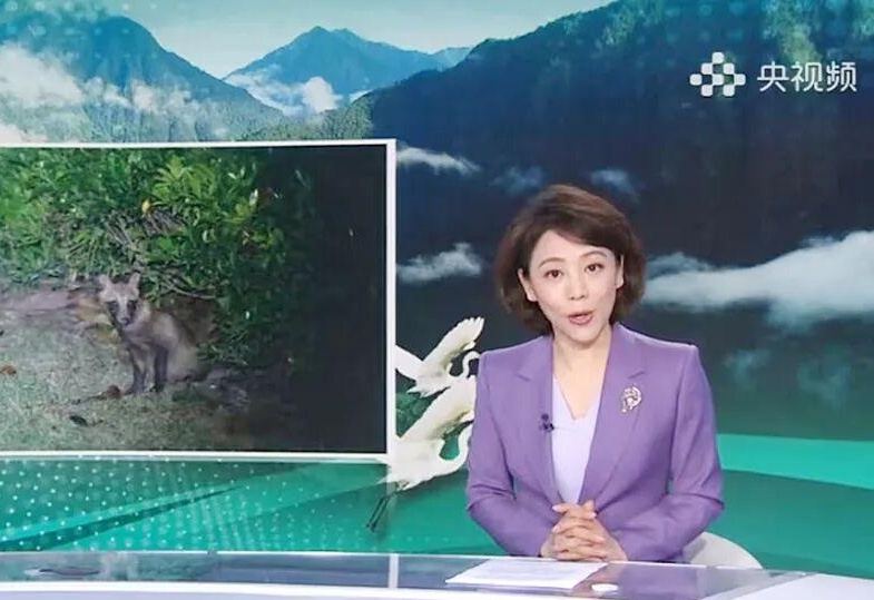 图