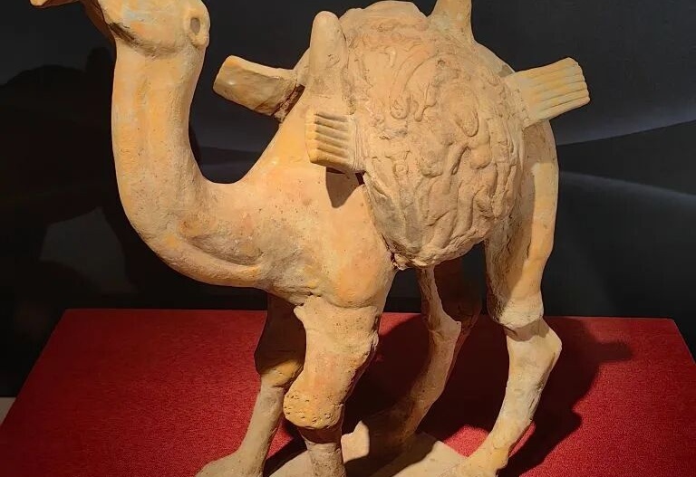 图