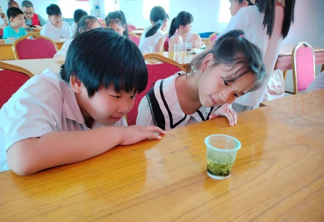 图