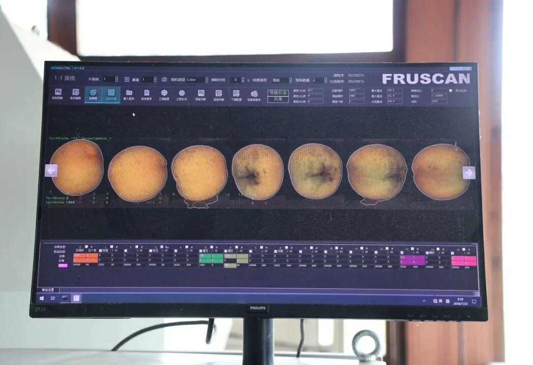 图