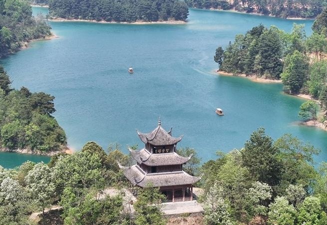 图