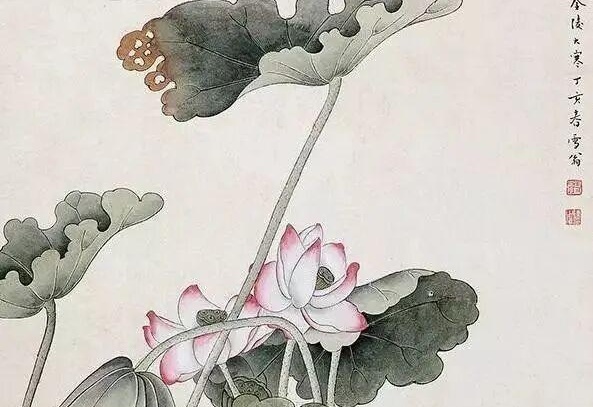 图