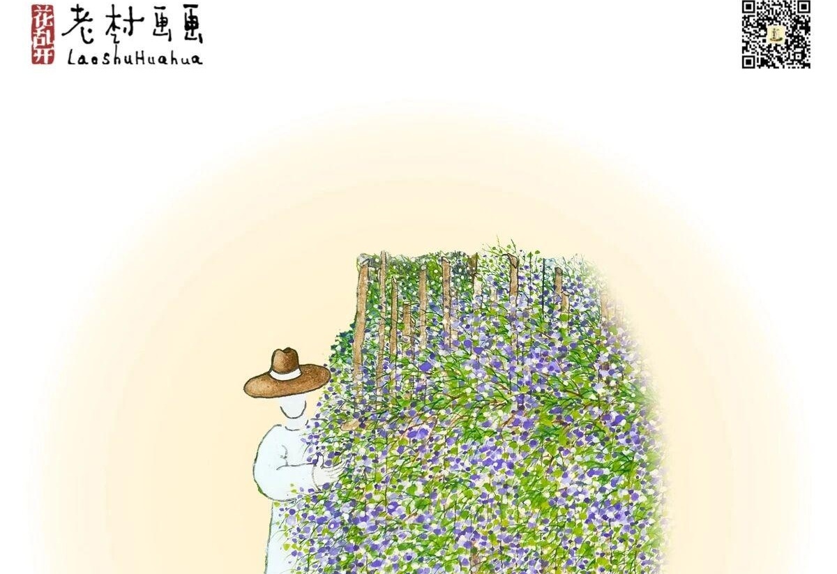 图