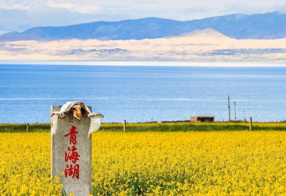 图