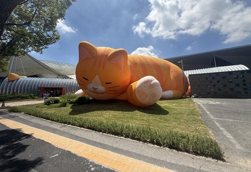 图