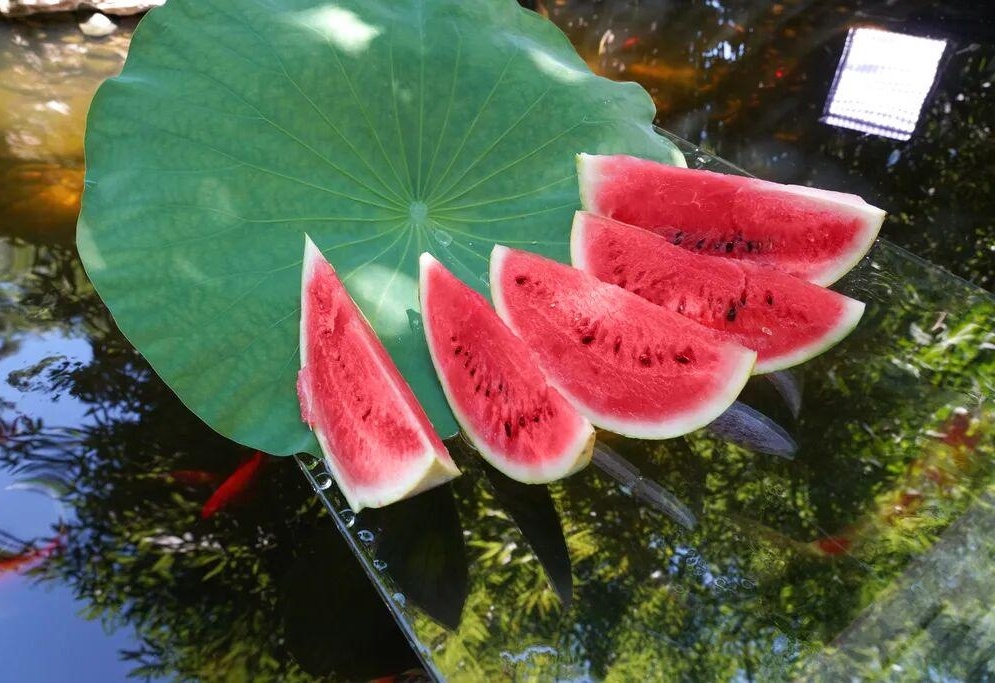 图