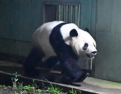 图