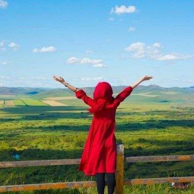 图