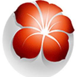 图